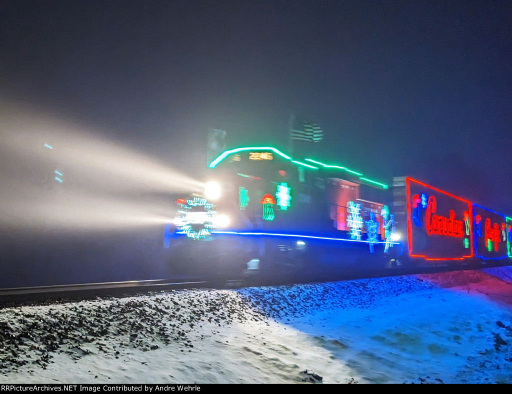 Lighting up the foggy night